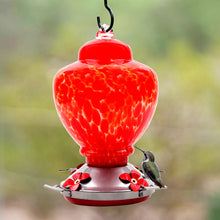 Load image into Gallery viewer, Hand Blown Glass Hummingbird Feeder  - 38 Ounces 
