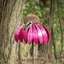 Load image into Gallery viewer, 2023 Outdoor Flower Bird Feeder 🌹Spring Decoration💖
