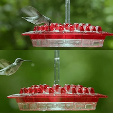 Load image into Gallery viewer, Dotmalls Sweety Hummingbird Feeder
